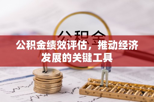 旺苍公积金绩效评估，推动经济发展的关键工具