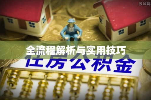 旺苍全流程解析与实用技巧