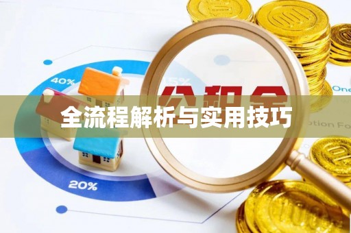 旺苍全流程解析与实用技巧