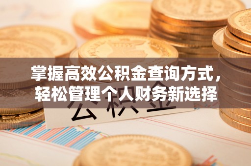 旺苍掌握高效公积金查询方式，轻松管理个人财务新选择