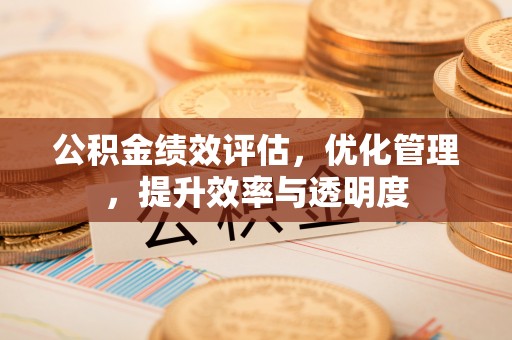 旺苍公积金绩效评估，优化管理，提升效率与透明度