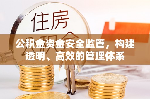 旺苍公积金资金安全监管，构建透明、高效的管理体系