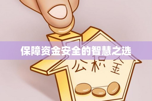 旺苍保障资金安全的智慧之选