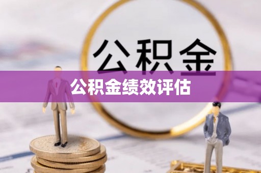 旺苍公积金绩效评估