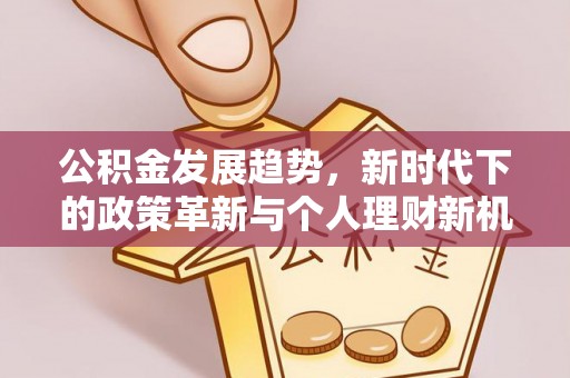 旺苍公积金发展趋势，新时代下的政策革新与个人理财新机遇