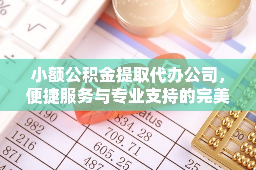 旺苍小额公积金提取代办公司，便捷服务与专业支持的完美结合