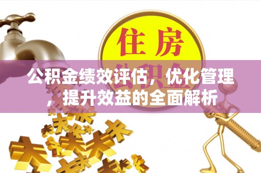 旺苍公积金绩效评估，优化管理，提升效益的全面解析