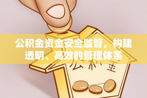 旺苍公积金资金安全监管，构建透明、高效的管理体系
