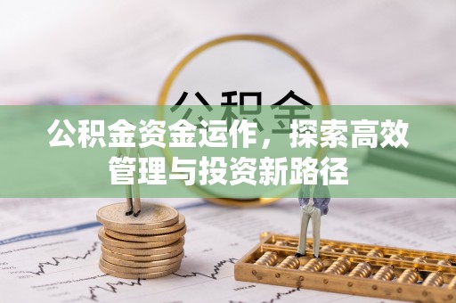 旺苍公积金资金运作，探索高效管理与投资新路径