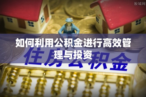 旺苍如何利用公积金进行高效管理与投资