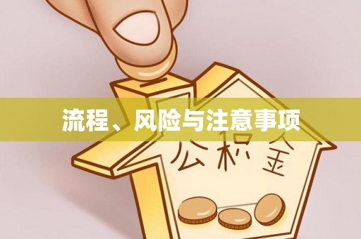 旺苍流程、风险与注意事项